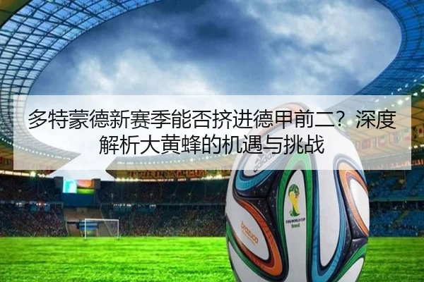 多特蒙德新赛季能否挤进德甲前二？深度解析大黄蜂的机遇与挑战