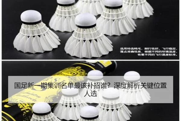 国足新一期集训名单最该补招谁？深度解析关键位置人选