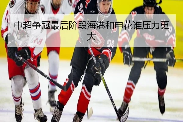 中超争冠最后阶段海港和申花谁压力更大