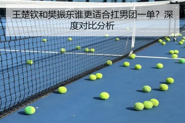 王楚钦和樊振东谁更适合扛男团一单？深度对比分析